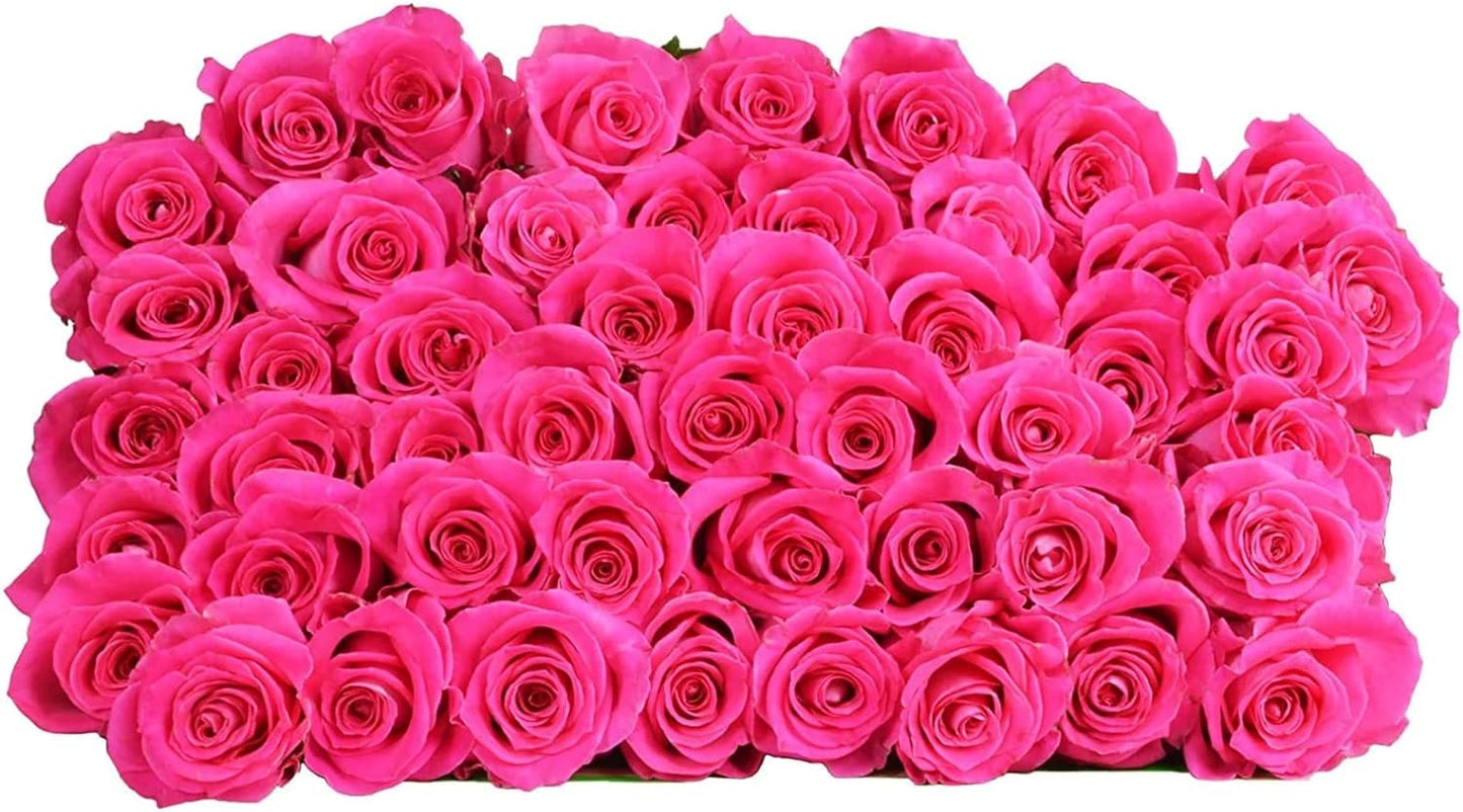 50 Fresh-Cut Hot Pink Roses