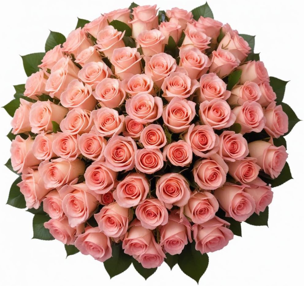 100 Fresh-Cut Pink Roses