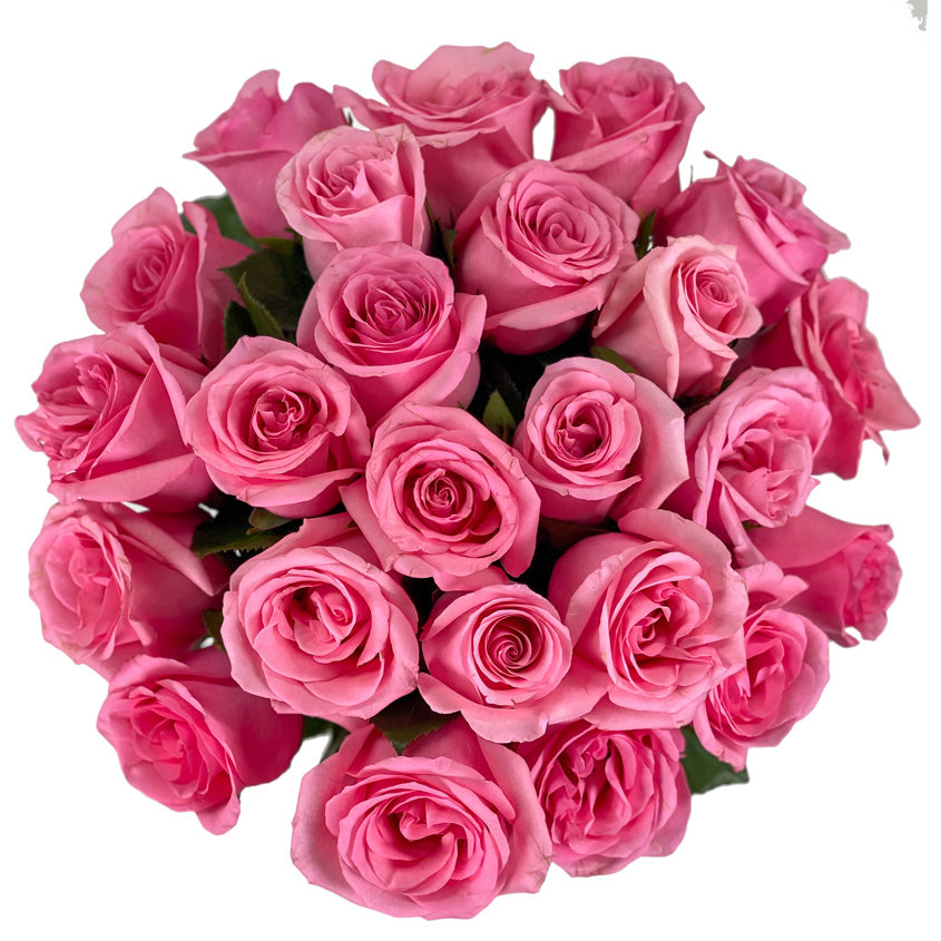 25 Fresh-Cut Pink Roses
