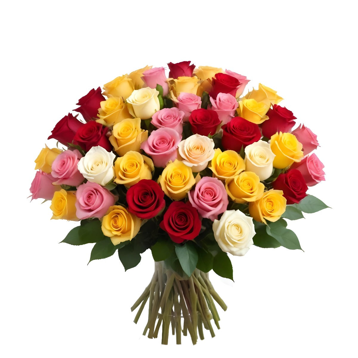 100 Fresh-Cut Rainbow Roses