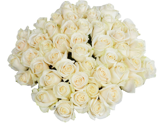 50 Fresh-Cut White Roses