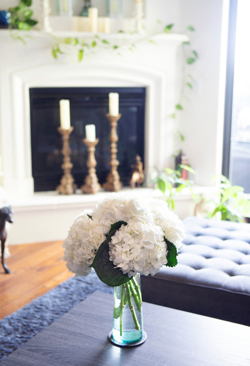 5 White Hydrangeas in Glass Vase