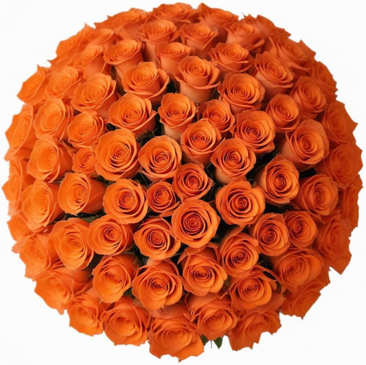 100 Fresh-Cut Orange Roses