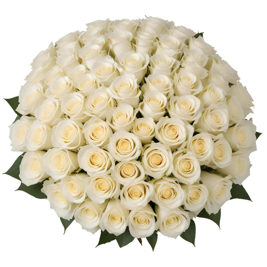 100 Fresh-Cut White Roses