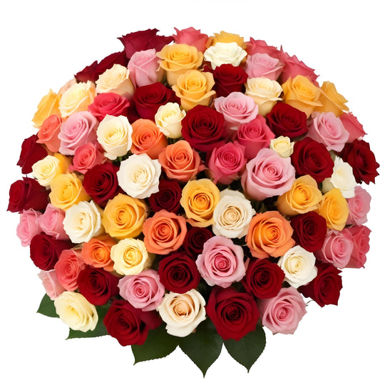 100 Fresh-Cut Rainbow Roses