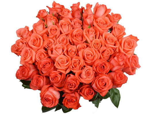 50 Fresh-Cut Orange Roses