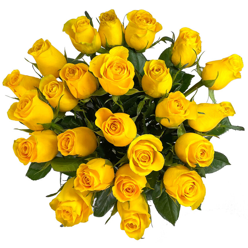 25 Fresh-Cut Yellow Roses