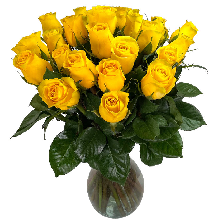 25 Fresh-Cut Yellow Roses