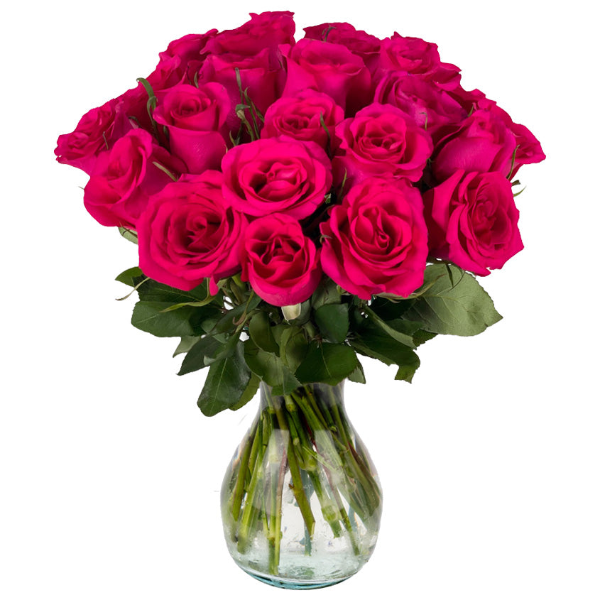 25 Fresh-Cut Hot Pink Roses