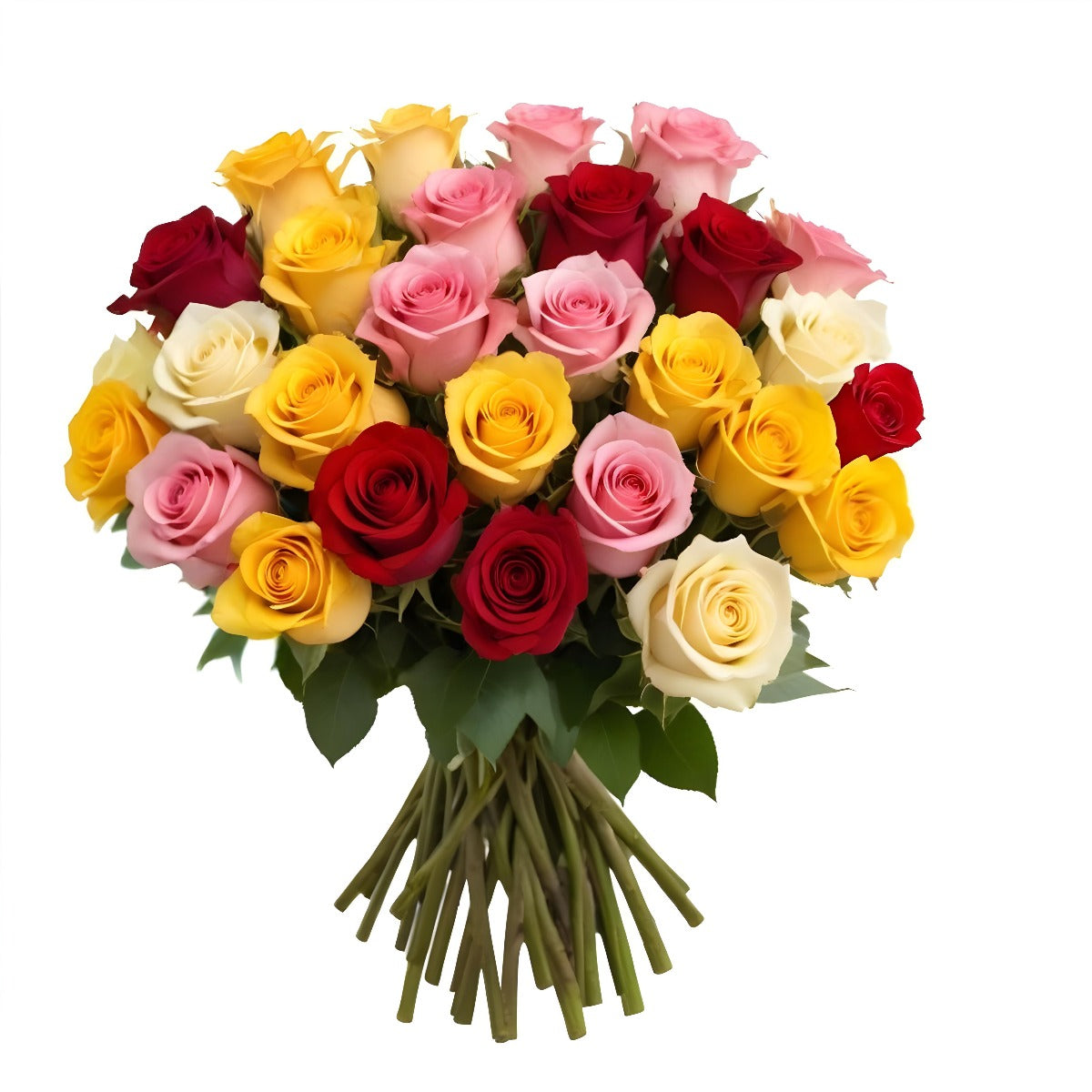 50 Fresh-Cut Rainbow Roses